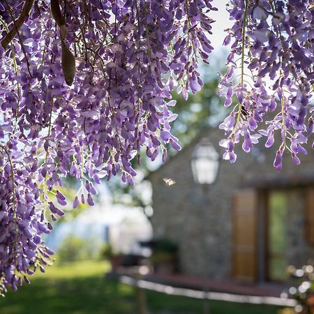 Gasthaus Le Cetinelle Greve in Chianti Exterior foto