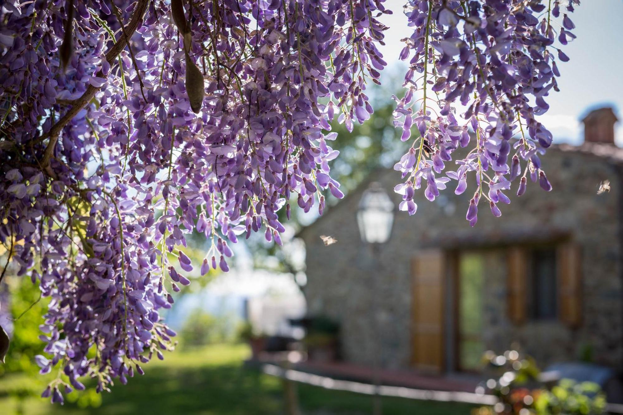 Gasthaus Le Cetinelle Greve in Chianti Exterior foto